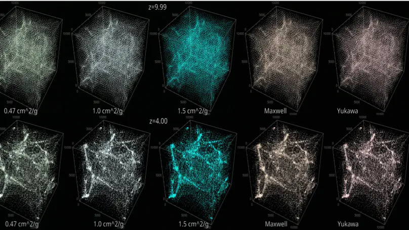 Dark Matter Self Interactions and its Impact on Large Scale Structures